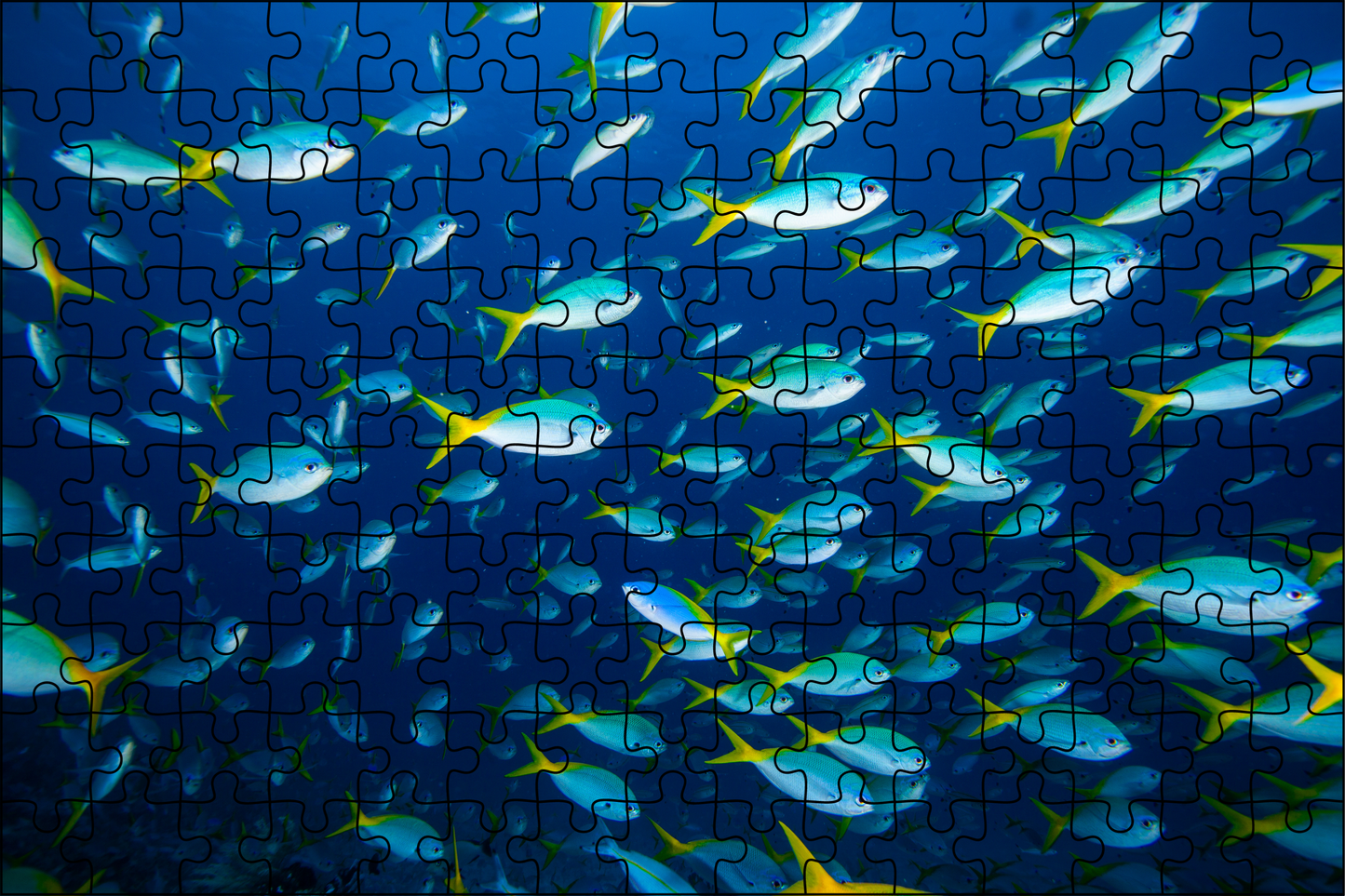 Fish Jigsaw Puzzle 252 Pieces - LB Prints