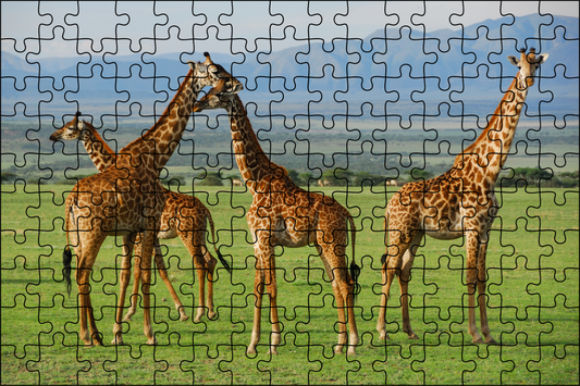 Giraffe Jigsaw Puzzle 252 Pieces - LB Prints