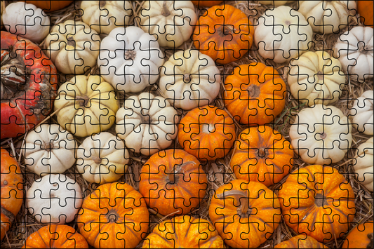 Pumpkin Jigsaw Puzzle 252 Pieces - LB Prints