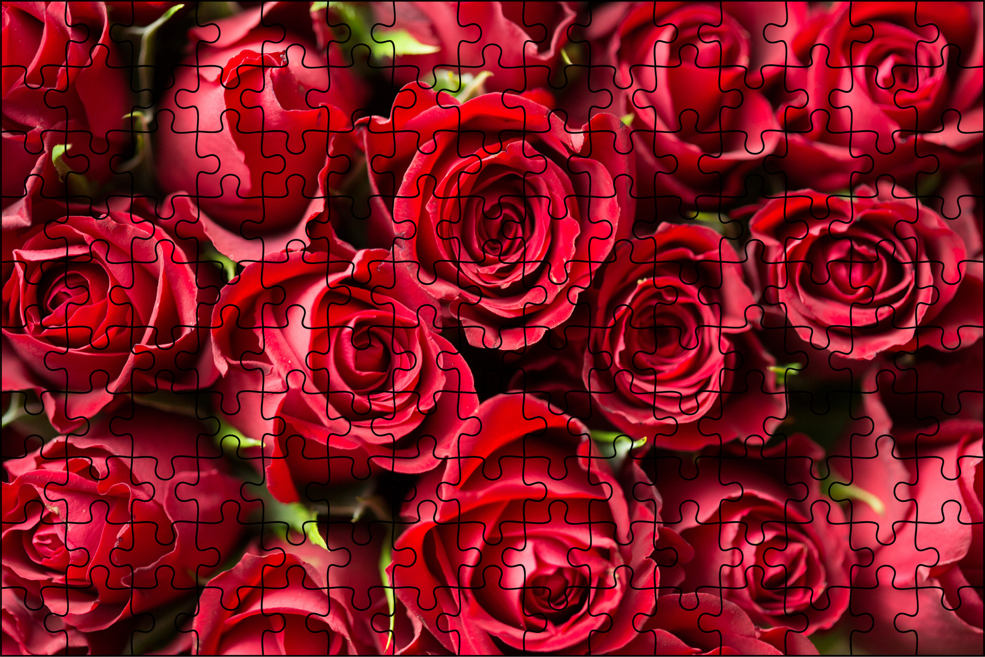 Red Roses Jigsaw Puzzle 252 Pieces - LB Prints